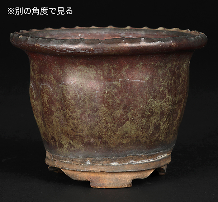 青交趾窯変縄縁丸鉢 | 盆栽、盆栽書籍、盆栽鉢の通販│近代出版