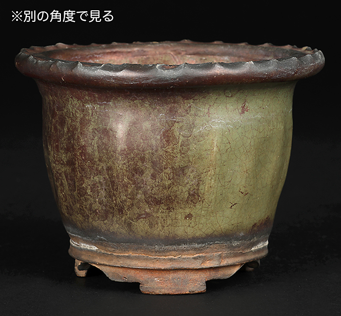 青交趾窯変縄縁丸鉢 | 盆栽、盆栽書籍、盆栽鉢の通販│近代出版