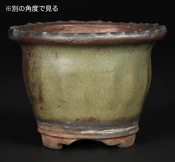青交趾窯変縄縁丸鉢 | 盆栽、盆栽書籍、盆栽鉢の通販│近代出版