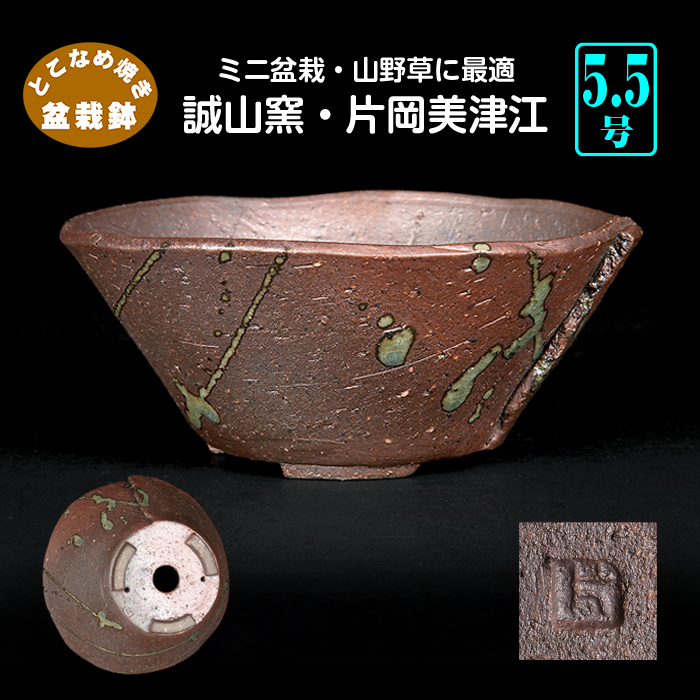 常滑鉢 | 盆栽、盆栽書籍、盆栽鉢の通販│近代出版