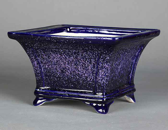 鴻陽 大きめ鉢 大きめ 鴻陽 盆栽鉢 鴻陽 大きめ鉢