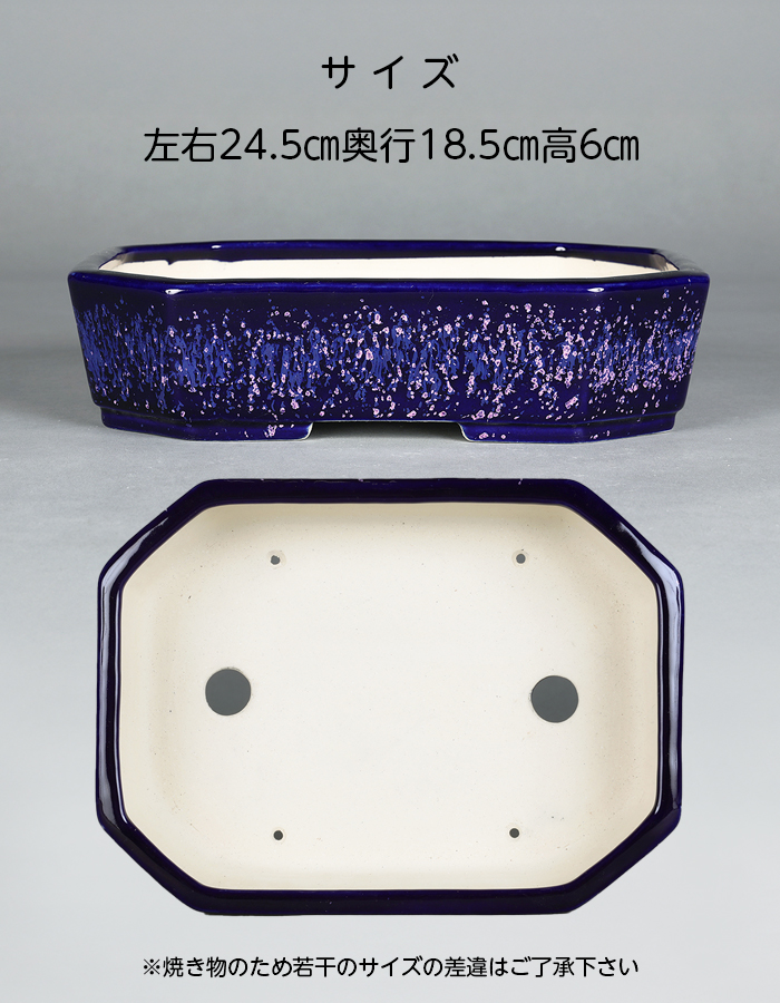 鴻陽瑠璃ピンク結晶釉隅切長方鉢 | 盆栽、盆栽書籍、盆栽鉢の通販