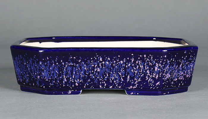 鴻陽瑠璃ピンク結晶釉隅切長方鉢 | 盆栽、盆栽書籍、盆栽鉢の通販