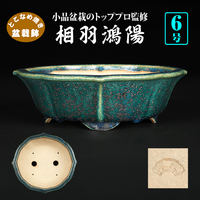 サイズ別 | 盆栽、盆栽書籍、盆栽鉢の通販│近代出版