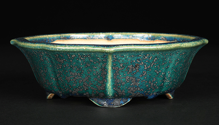 鴻陽織部釉剣木瓜式鉢 | 盆栽、盆栽書籍、盆栽鉢の通販│近代出版