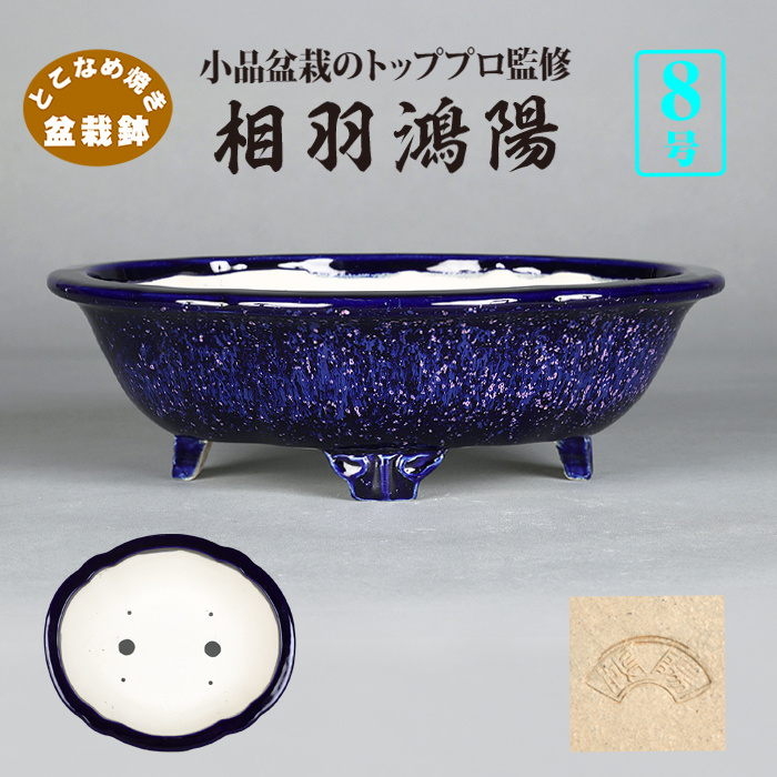 常滑鉢 | 盆栽、盆栽書籍、盆栽鉢の通販│近代出版