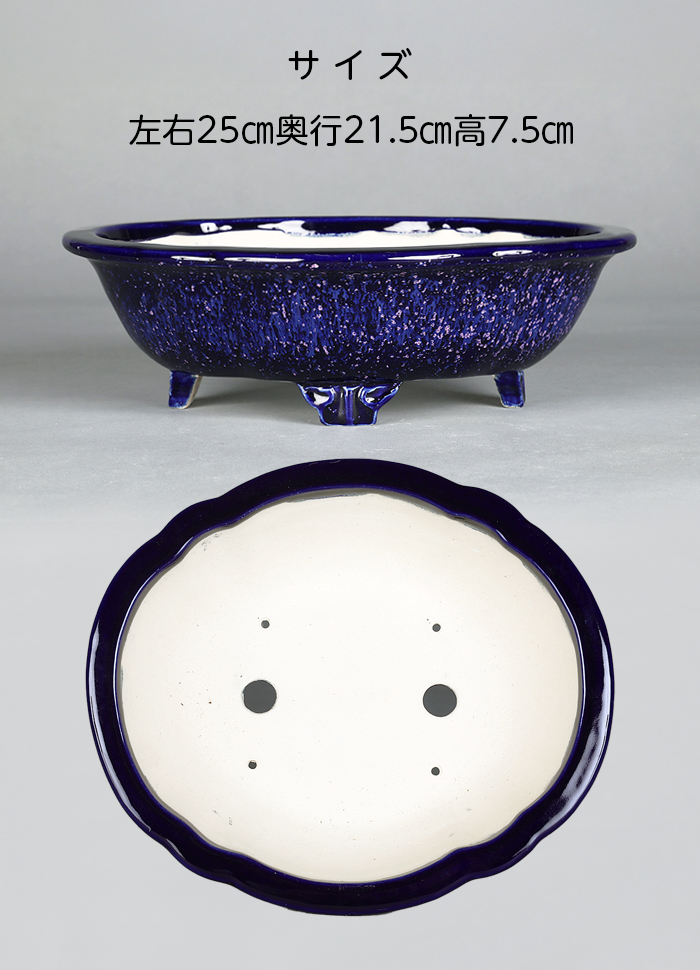 鴻陽瑠璃ピンク結晶釉木瓜式鉢 | 盆栽、盆栽書籍、盆栽鉢の通販│近代出版