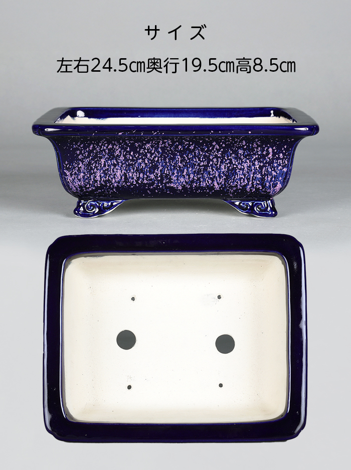 鴻陽瑠璃ピンク結晶釉外縁雲足長方鉢 | 盆栽、盆栽書籍、盆栽鉢の通販