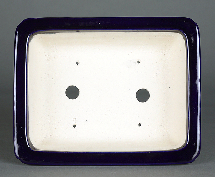 鴻陽　長方　盆栽鉢 鴻陽瑠璃ピンク結晶釉外縁雲足長方鉢 | 盆栽、盆栽書籍、盆栽鉢の通販