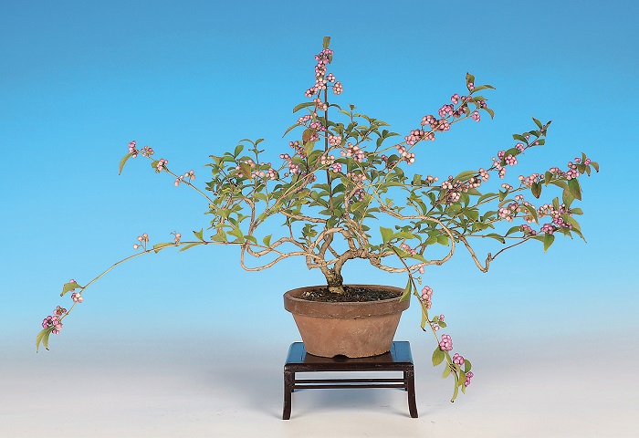 エルメス スカーフ 盆栽 箱付超美品 エルメス HERMES レア商品 BONSAI