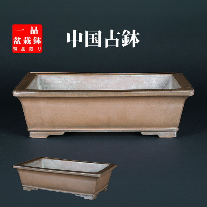 ☆盆栽日和☆ 中国古盆器 紫泥切立長方鉢 22.2㎝｜鉢