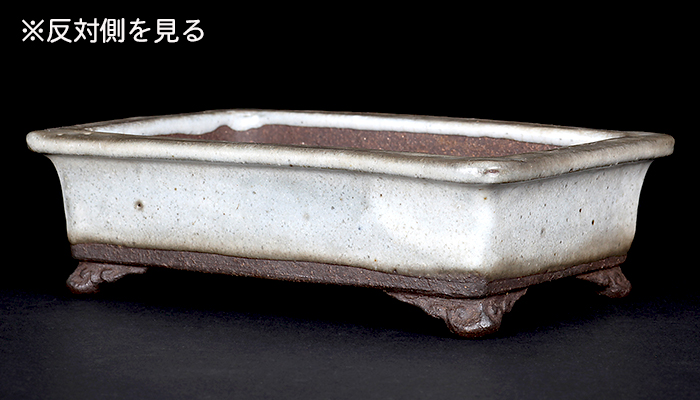 東福寺白釉雲足長方鉢 | 盆栽、盆栽書籍、盆栽鉢の通販│近代出版 東福寺白釉雲足長方鉢 | 盆栽、盆栽書籍、盆栽鉢の通販│近代出版