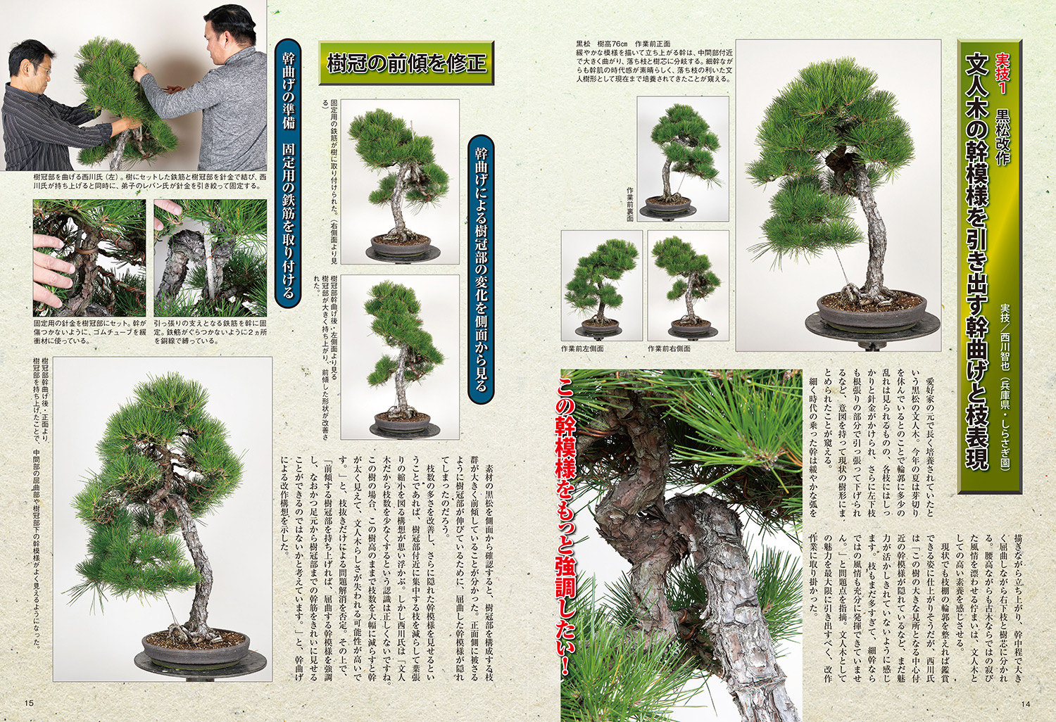 月刊「近代盆栽」2023年1月号 | 盆栽、盆栽書籍、盆栽鉢の通販│近代出版 月刊「近代盆栽」2023年1月号 | 盆栽、盆栽書籍、盆栽鉢の通販│近代出版