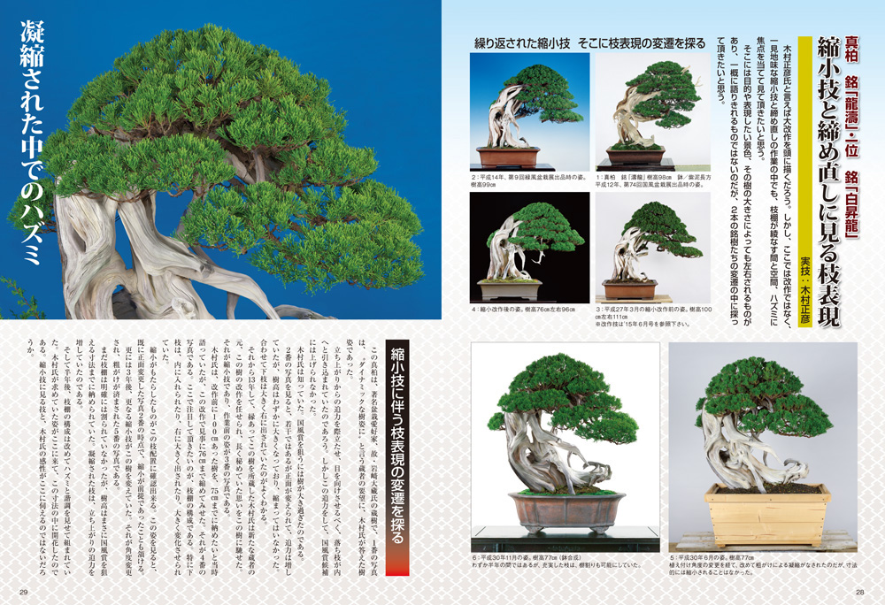 月刊「近代盆栽」2019年1月号 | 盆栽、盆栽書籍、盆栽鉢の通販