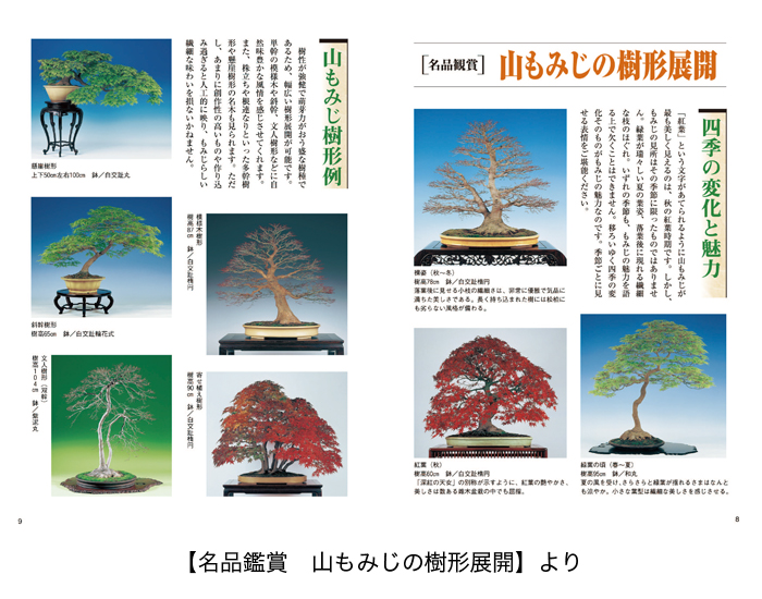 オール図解・盆栽技術大系 ｜古本買取ブックセンター
