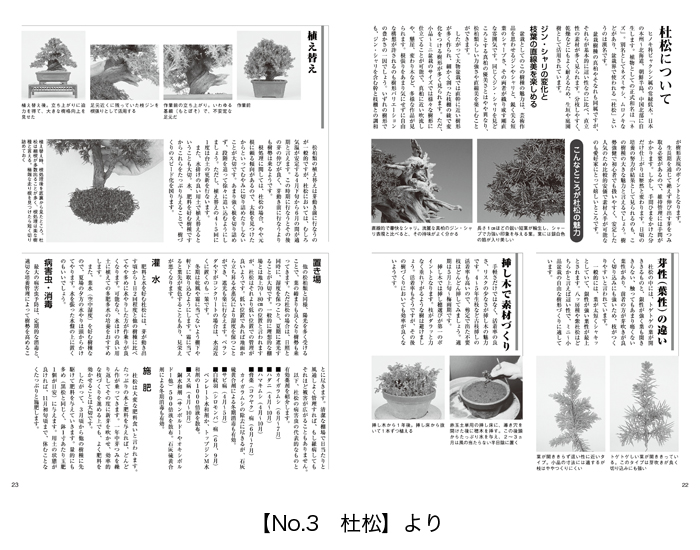 お買い得】小品盆栽36種徹底紹介 上下巻セット | 盆栽、盆栽書籍