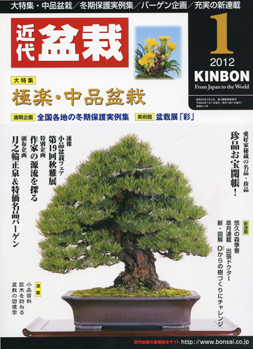 月刊「近代盆栽」2012年1月号