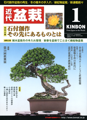 月刊「近代盆栽」2011年1月号