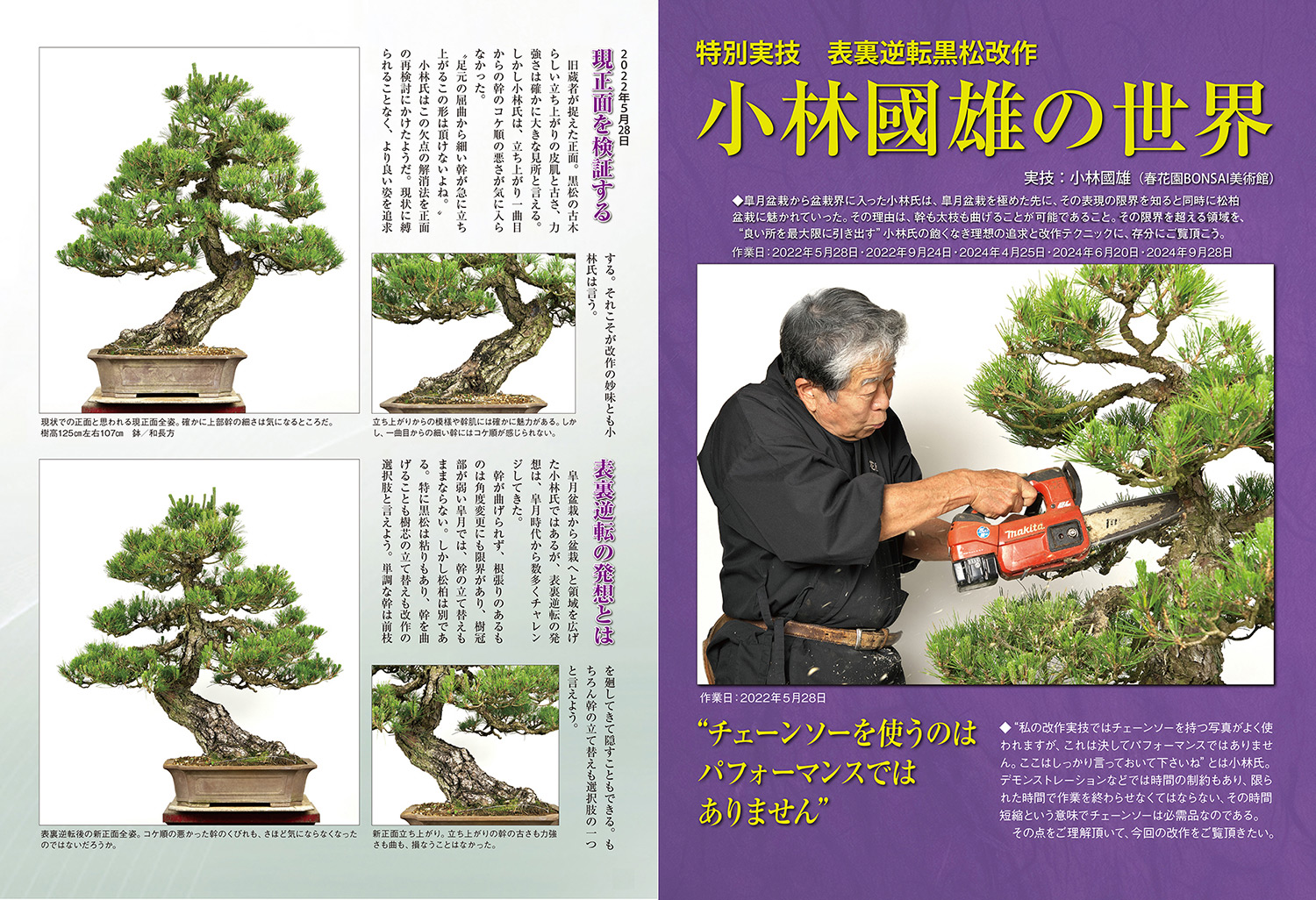 月刊「近代盆栽」2024年1月号 | 盆栽、盆栽書籍、盆栽鉢の通販│近代出版