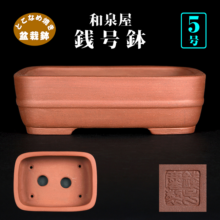 銭号胴紐長方鉢