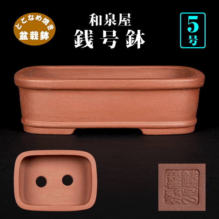 銭号胴紐長方鉢