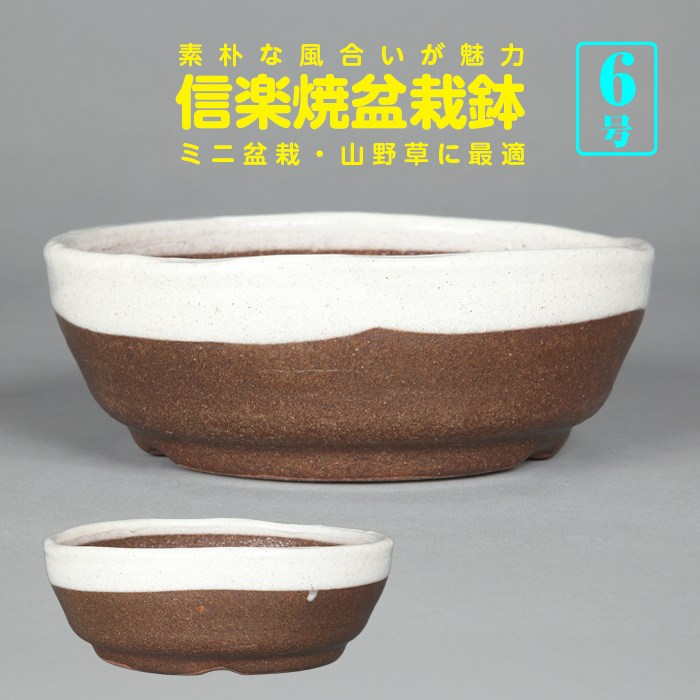 信楽焼ひねり浅白釉丸鉢