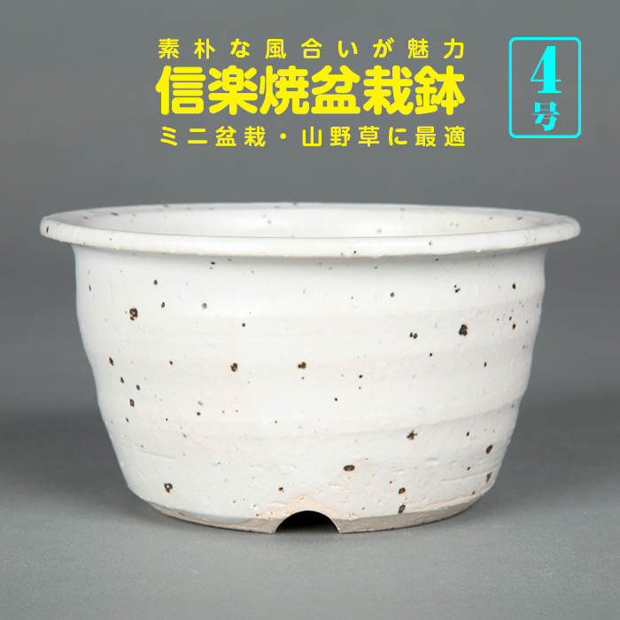 信楽焼白釉外縁丸鉢