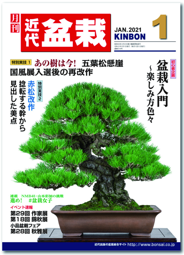 月刊「近代盆栽」2021年1月号 | 盆栽、盆栽書籍、盆栽鉢の通販│近代出版 月刊「近代盆栽」2021年1月号 | 盆栽、盆栽書籍、盆栽鉢の通販│近代出版