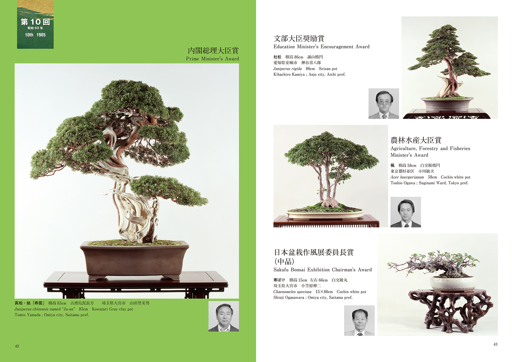 日本盆栽作風展50周年記念誌（英訳付） | 盆栽、盆栽書籍、盆栽