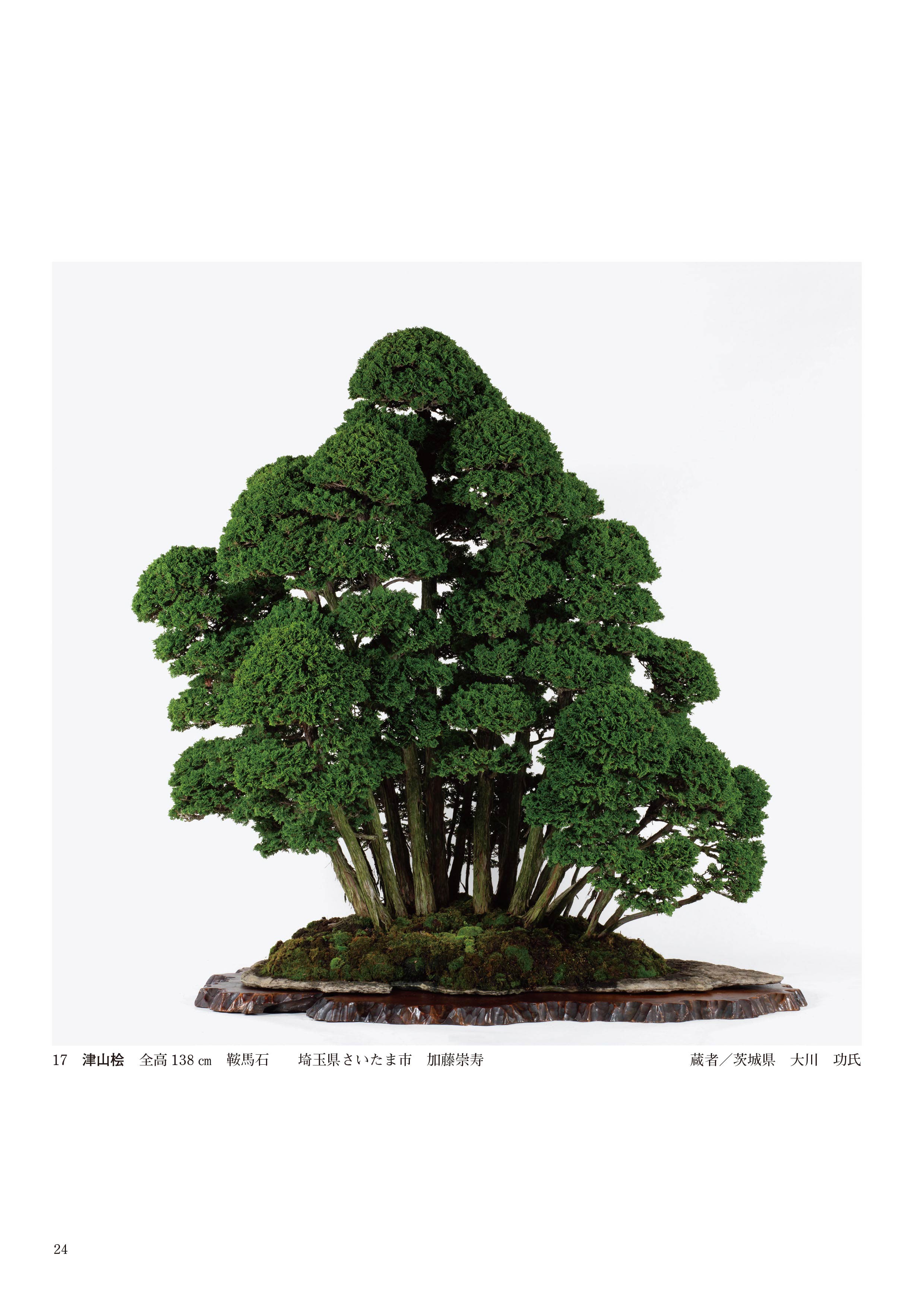 第51回 日本盆栽作風展 記念帖 | 盆栽、盆栽書籍、盆栽鉢の通販│近代出版