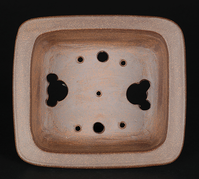 行山外縁額面長方鉢 | 盆栽、盆栽書籍、盆栽鉢の通販│近代出版