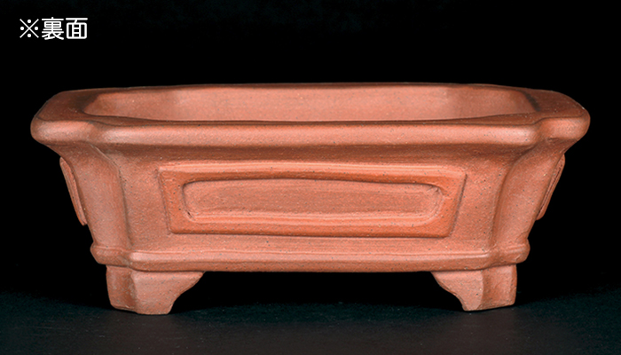 行山外縁隅切額面長方鉢 | 盆栽、盆栽書籍、盆栽鉢の通販│近代出版