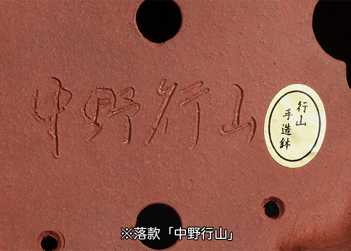 外縁長方鉢　行山造 行山外縁長方鉢 | 盆栽、盆栽書籍、盆栽鉢の通販│近代出版