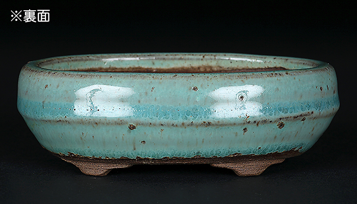 一陽緑釉胴紐楕円鉢 | 盆栽、盆栽書籍、盆栽鉢の通販│近代出版