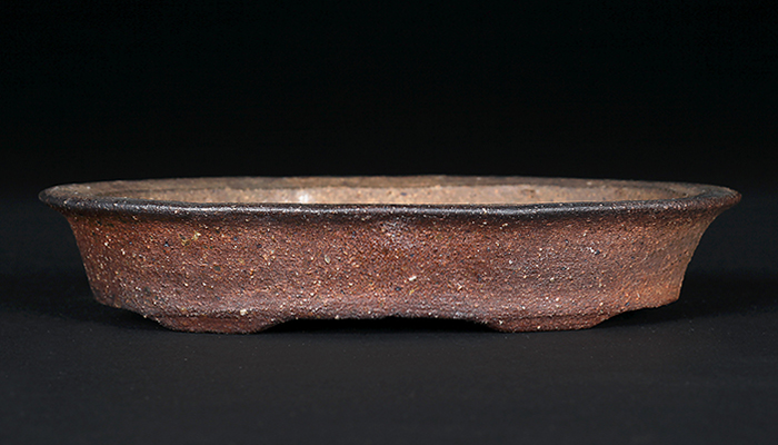 東福寺楕円鉢 | 盆栽、盆栽書籍、盆栽鉢の通販│近代出版