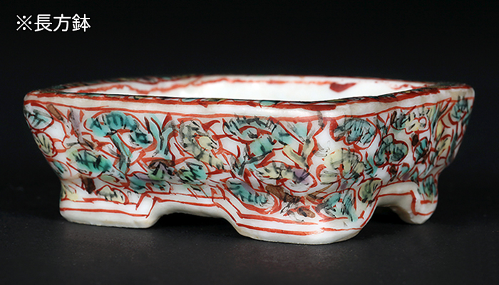 清風絵付長方・六角鉢二枚組 | 盆栽、盆栽書籍、盆栽鉢の通販│近代出版