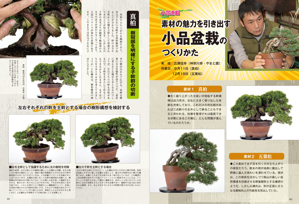 月刊 近代盆栽 19年2月号 盆栽 盆栽書籍 盆栽鉢の通販 近代出版 月刊 近代盆栽 19年2月号 盆栽 盆栽書籍 盆栽鉢の通販 近代出版