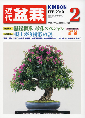 月刊「近代盆栽」2010年2月号