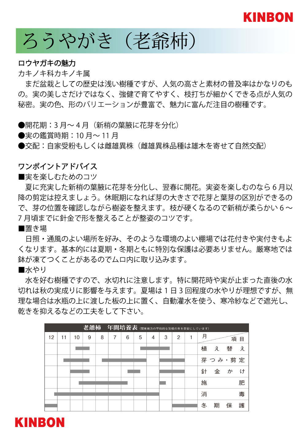 中品盆栽、常盤柿、模様木、三幹 実付き(赤実)やや汚れ多少あり 中品盆栽、常盤柿、模様木、三幹 実付き(赤実)やや汚れ多少