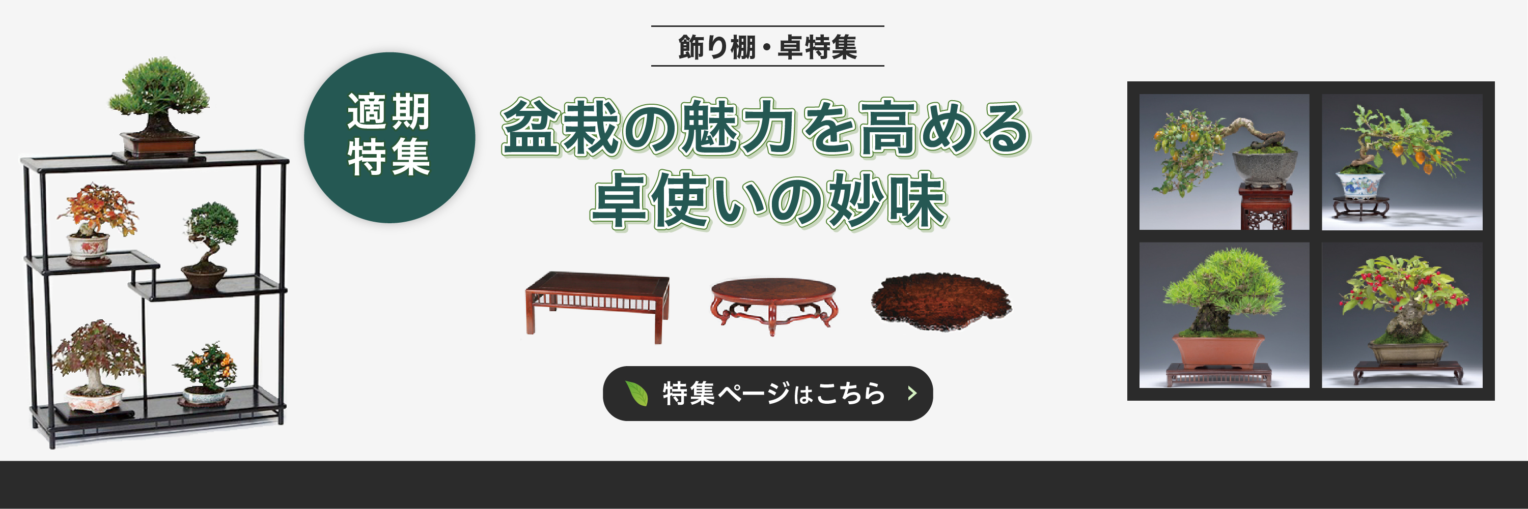 図説 盆栽実技　全6巻セット　農文協　絶版 図説 盆栽実技 全6巻セット 農文協 絶版 本